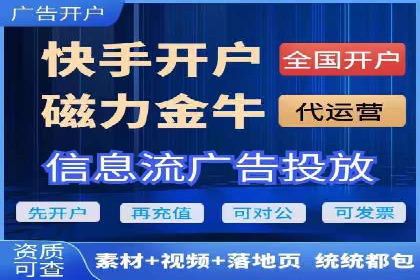 行业领先的SEM竞价广告投放案例
