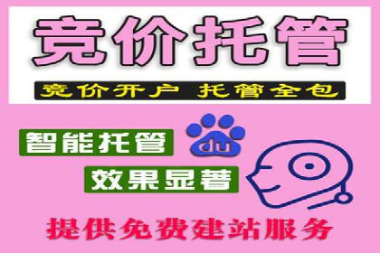 某企业选择sem代运营公司的决策过程及效果展示